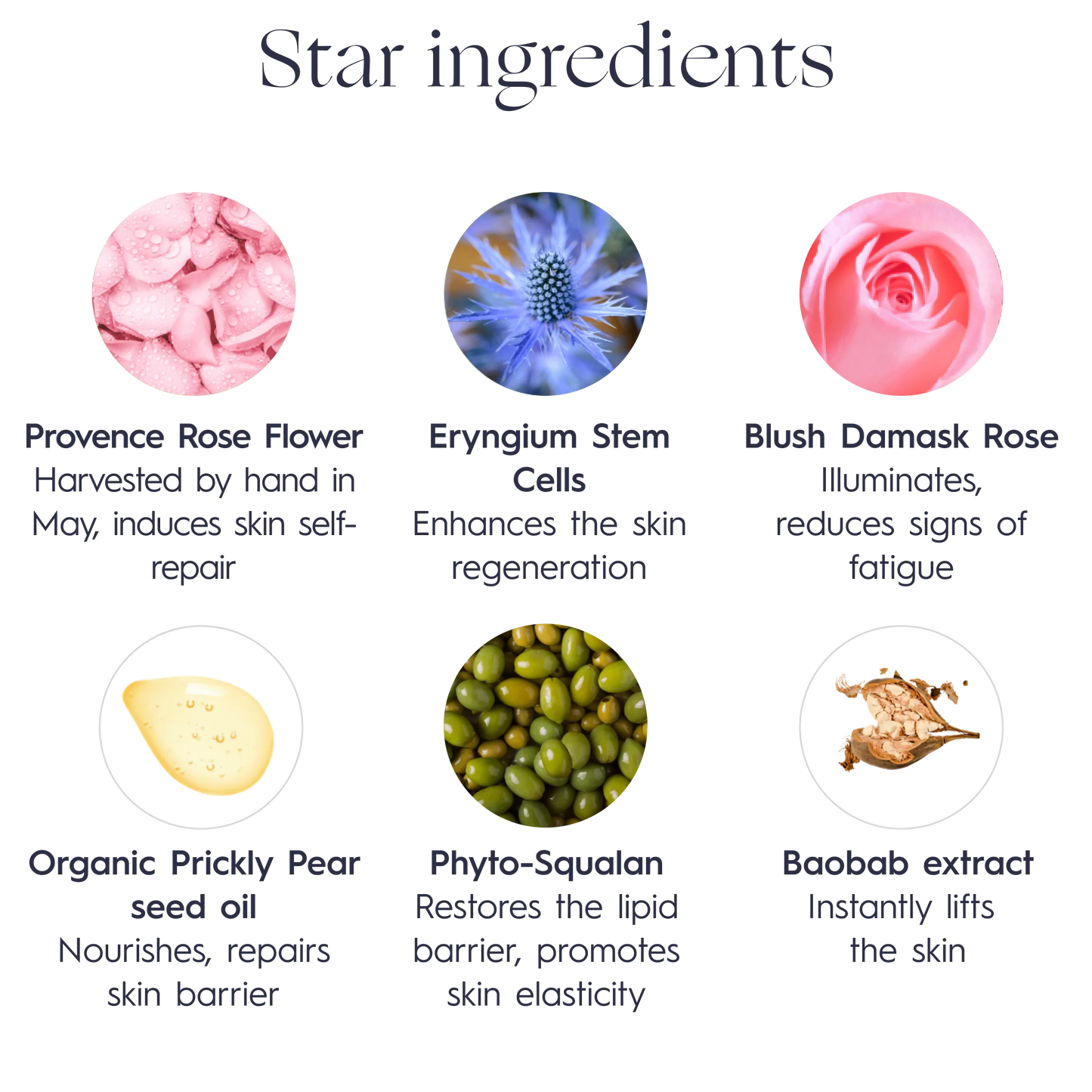 VERDILAB- Extremely Nourishing Rose Radiance Cream Mask