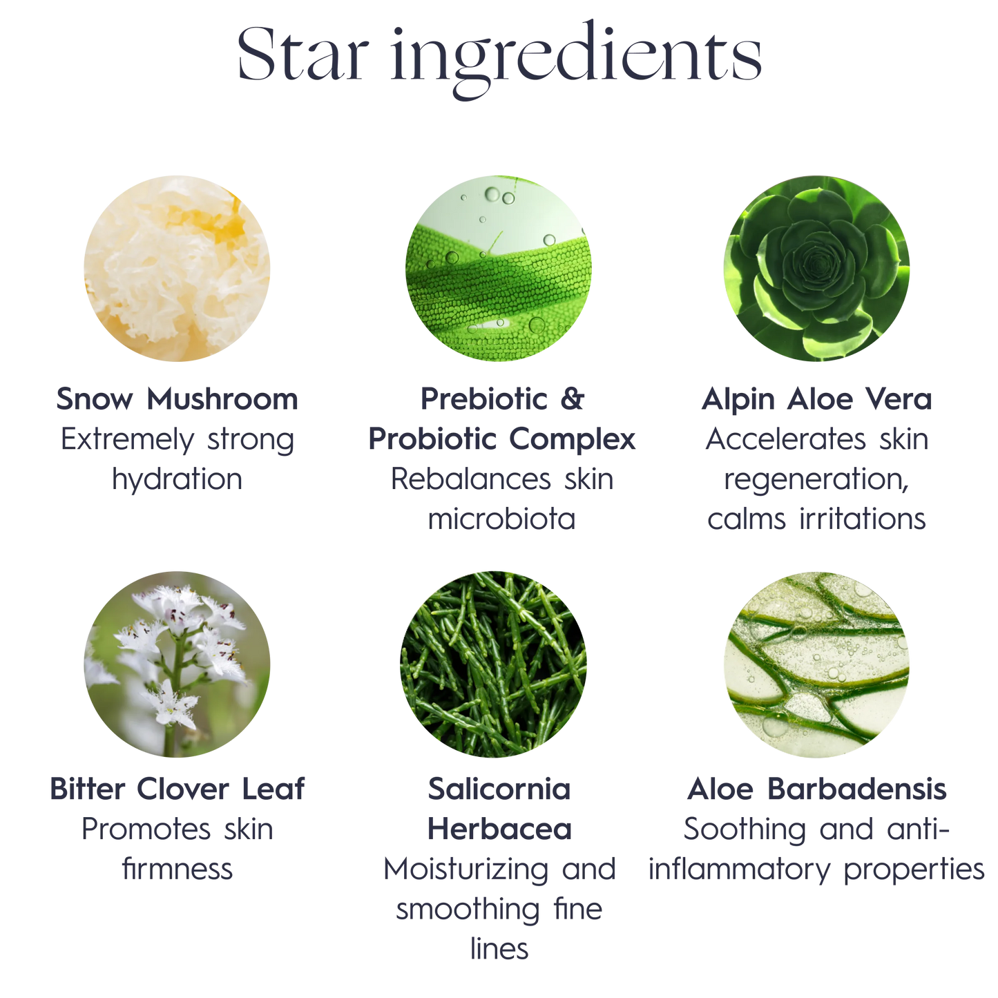VERDILAB- Natural Detox Replenishing Face Mask